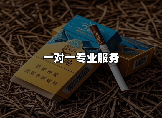 专业优势